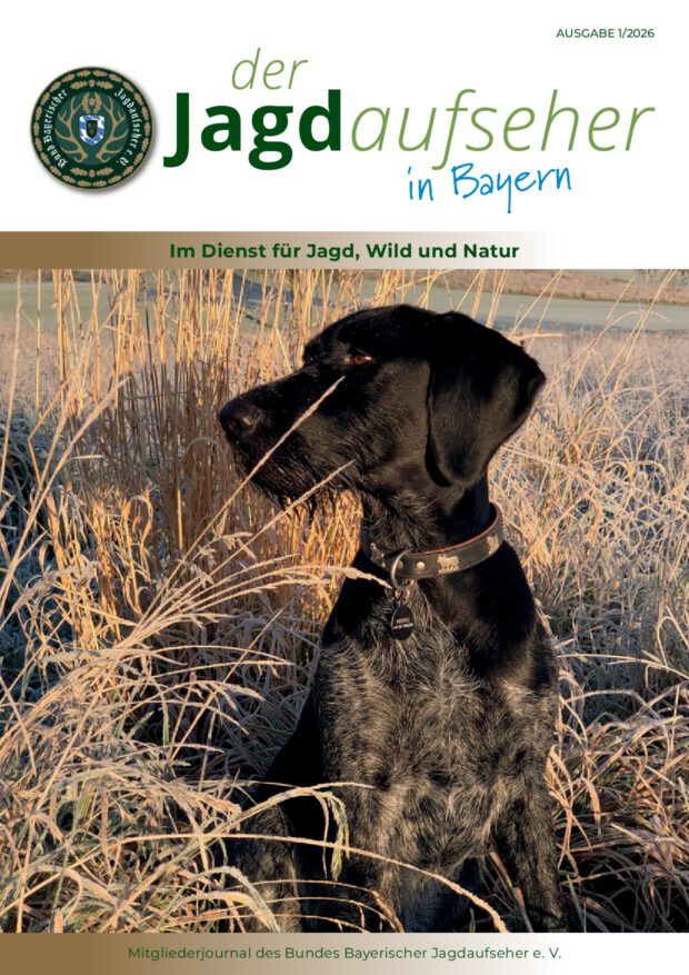 Deckblatt Ausgabe 1/2026
