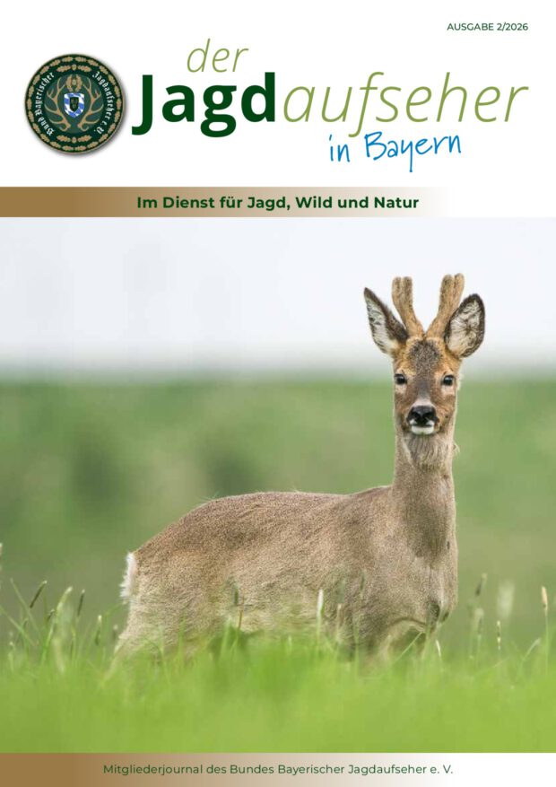 Deckblatt Ausgabe 2/2026