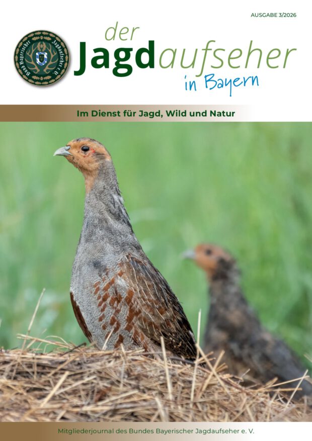 Deckblatt Ausgabe 3/2026