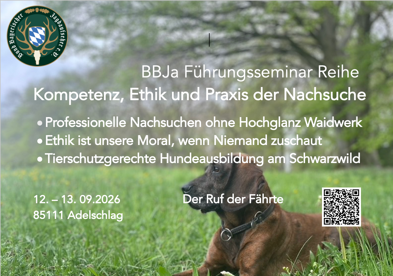 Foto Titelbild Nachsuche Seminar neu