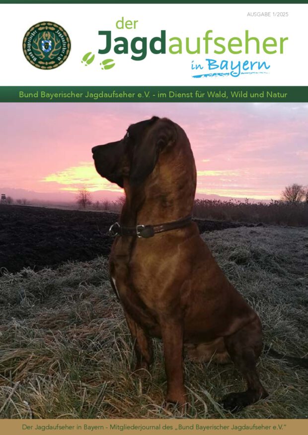 Deckblatt Ausgabe 1/2025