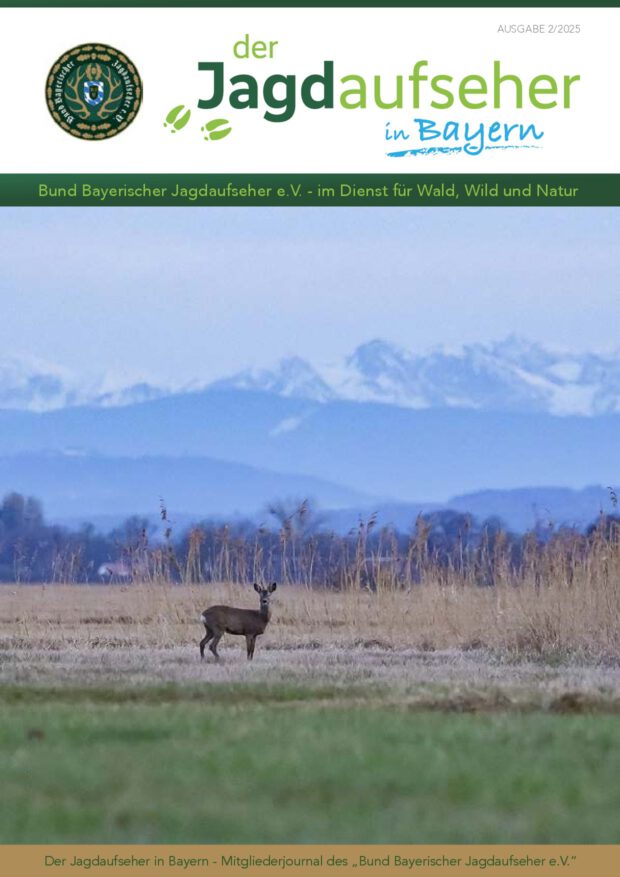 Deckblatt Ausgabe 2/2025
