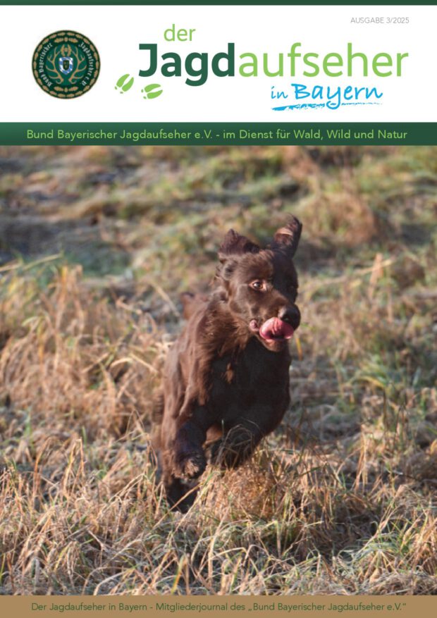 Deckblatt Ausgabe 3/2025