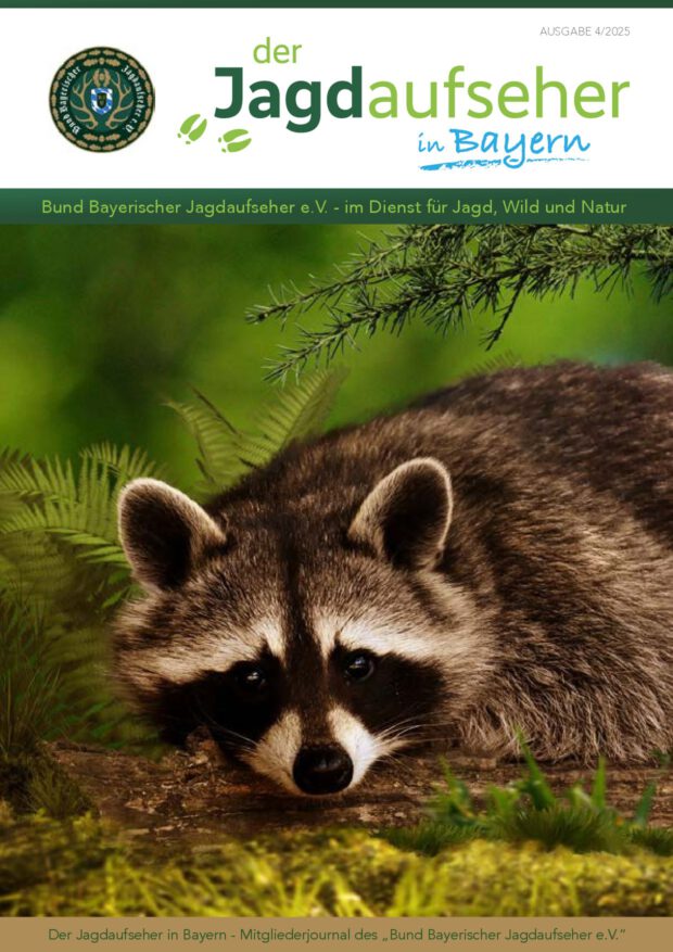 Deckblatt Ausgabe 4/2025